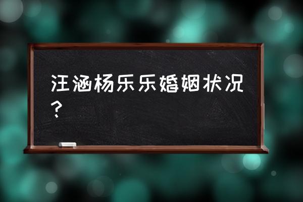 杨乐乐的第一任丈夫 汪涵杨乐乐婚姻状况？