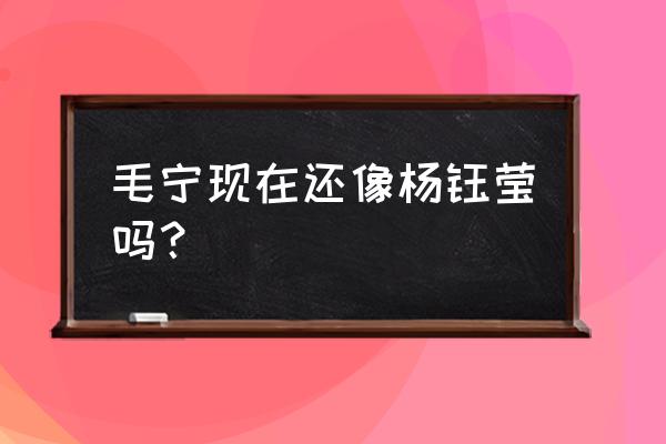 杨钰莹和毛宁最新消息 毛宁现在还像杨钰莹吗？