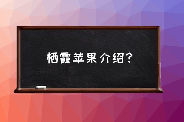 栖霞苹果的功效与作用 栖霞苹果介绍？