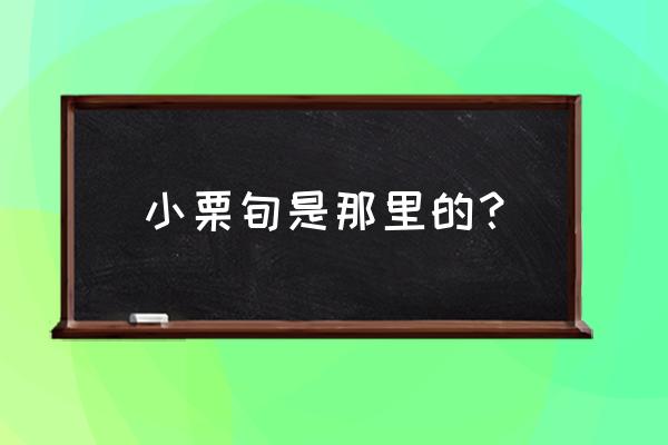 小出惠介小栗旬 小栗旬是那里的？