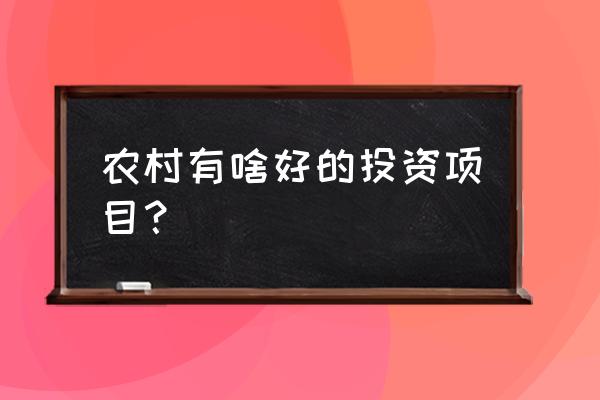 农村最好的投资项目 农村有啥好的投资项目？