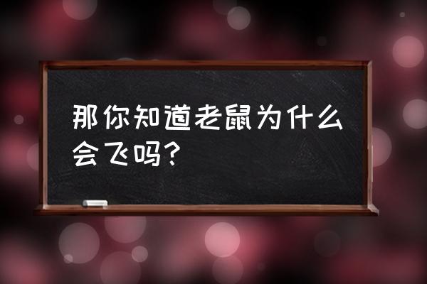 你知道老鼠为什么会飞吗 那你知道老鼠为什么会飞吗？