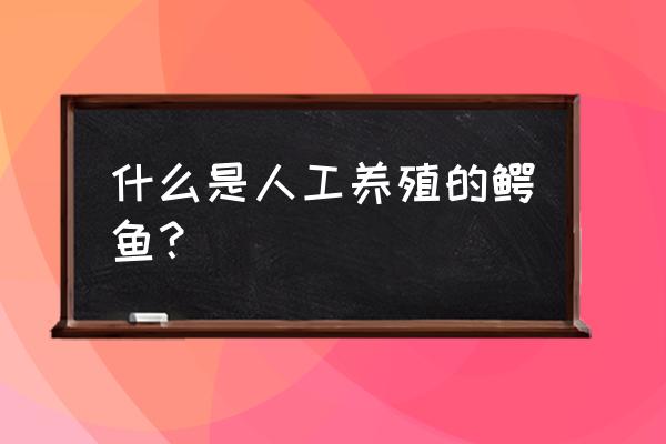 鳄鱼的人工养殖 什么是人工养殖的鳄鱼？