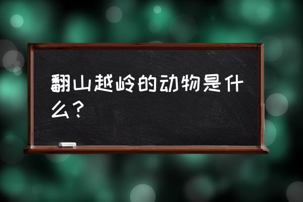 什么动物翻山越岭最快 翻山越岭的动物是什么？