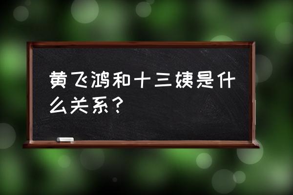 黄飞鸿与十三姨1995 黄飞鸿和十三姨是什么关系？