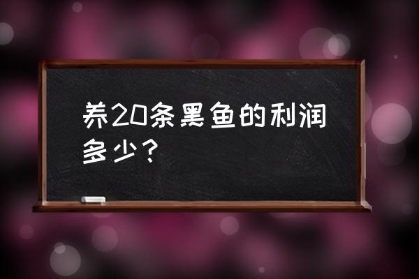 黑鱼养殖利润 养20条黑鱼的利润多少？