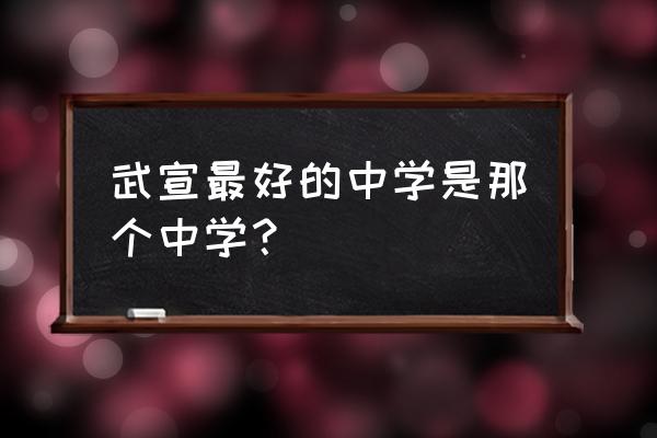 广西武宣县中学2020年 武宣最好的中学是那个中学？