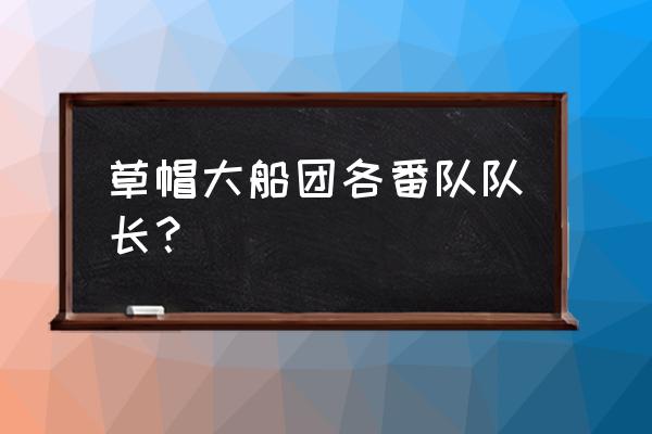 海贼王草帽大船团 草帽大船团各番队队长？