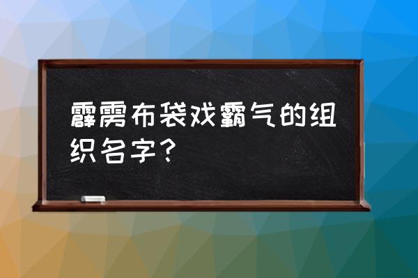 天地布袋戏 霹雳布袋戏霸气的组织名字？