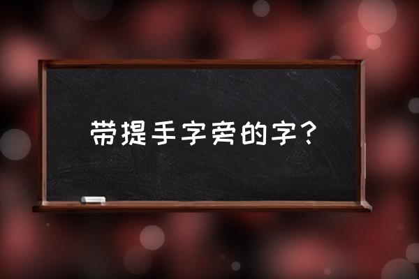 带提手字的字 带提手字旁的字？