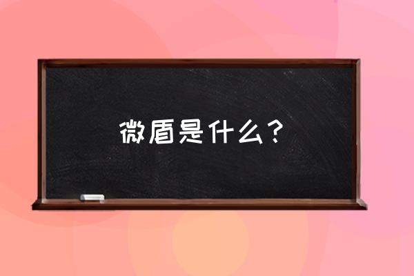 新浪sae免费吗 微盾是什么？