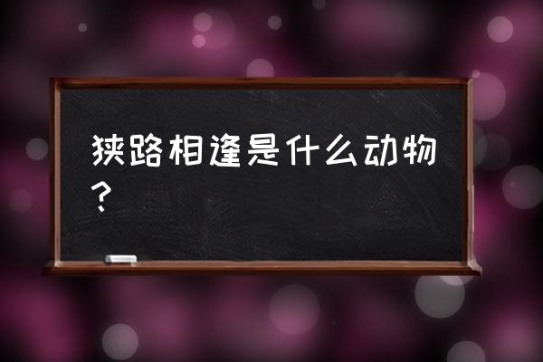 狭路相逢是什么动物 狭路相逢是什么动物？