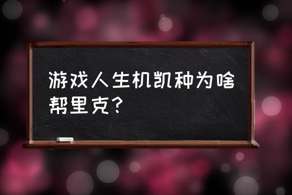 游戏人生zero休比 游戏人生机凯种为啥帮里克？