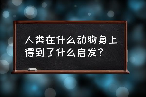 模式生物是指 人类在什么动物身上得到了什么启发？