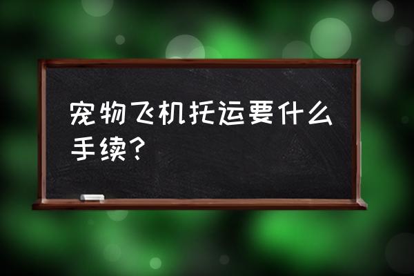 怎么办理宠物托运 宠物飞机托运要什么手续？