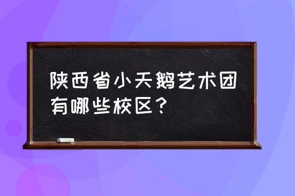 陕西省小天鹅艺术团隶属 陕西省小天鹅艺术团有哪些校区？