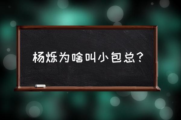 杨烁为什么叫小包总 杨烁为啥叫小包总？