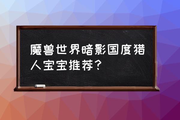 魔兽世界暗影国度 魔兽世界暗影国度猎人宝宝推荐？