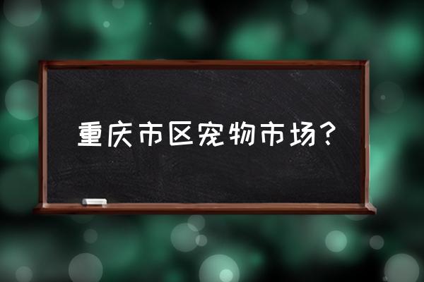 重庆大型宠物市场 重庆市区宠物市场？