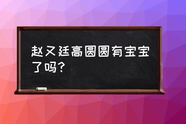 高圆圆和赵又廷有宝宝了吗 赵又廷高圆圆有宝宝了吗？