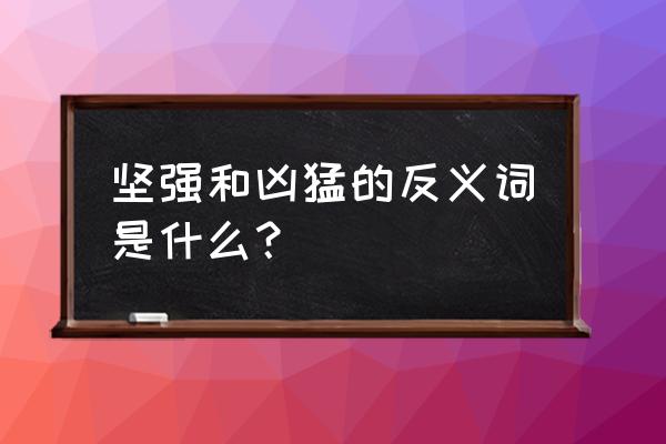 坚强者的反义词 坚强和凶猛的反义词是什么？