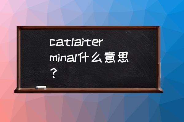 胡志明港口英文 catlaiterminal什么意思？