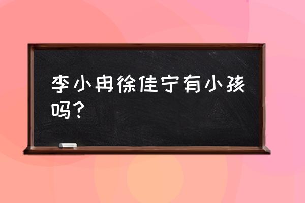 李小冉徐佳宁生子了吗 李小冉徐佳宁有小孩吗？