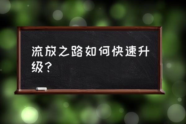 17373流放之路 流放之路如何快速升级？