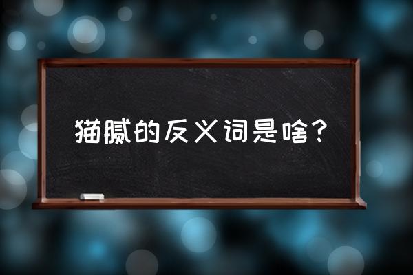 猫腻是什么意思反义词 猫腻的反义词是啥？