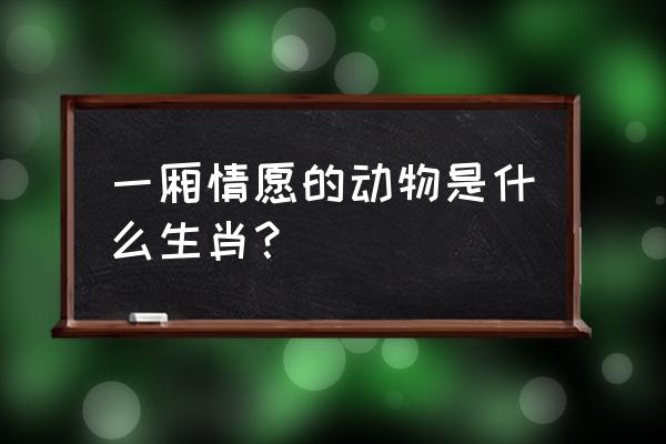 一厢情愿是什么动物 一厢情愿的动物是什么生肖？