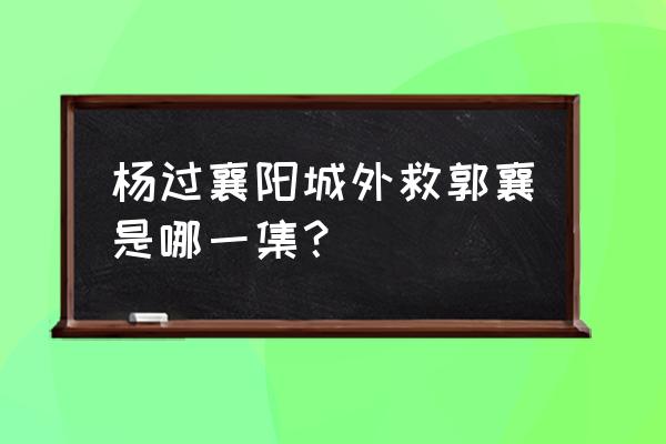 杨过救郭襄 杨过襄阳城外救郭襄是哪一集？