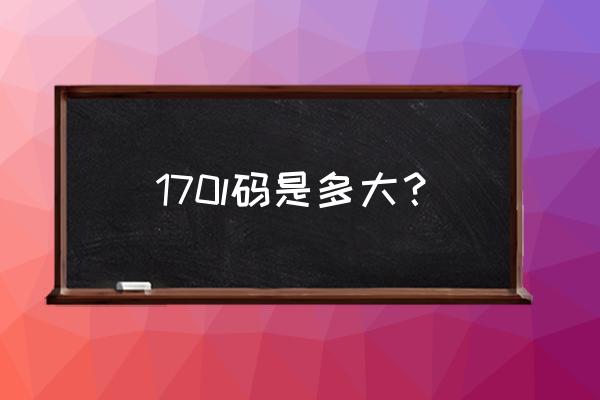 l码是170还是175 170l码是多大？