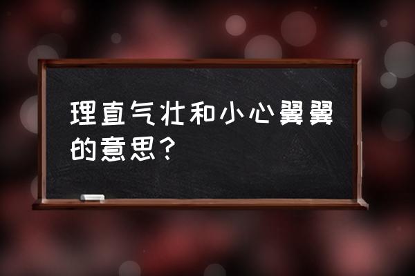 小心翼翼的意思说明了什么 理直气壮和小心翼翼的意思？