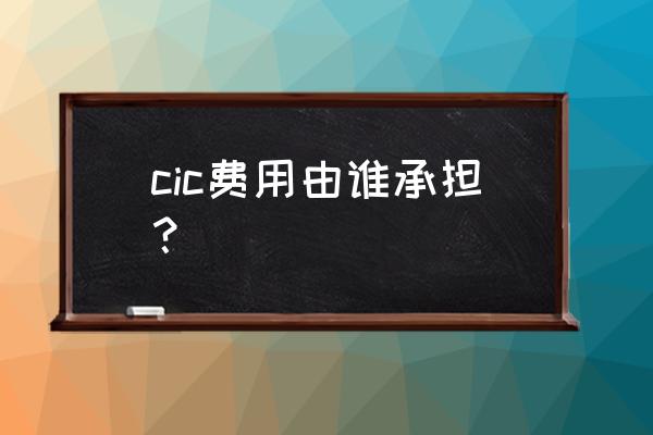 ebs和cic费用由谁承担 cic费用由谁承担？