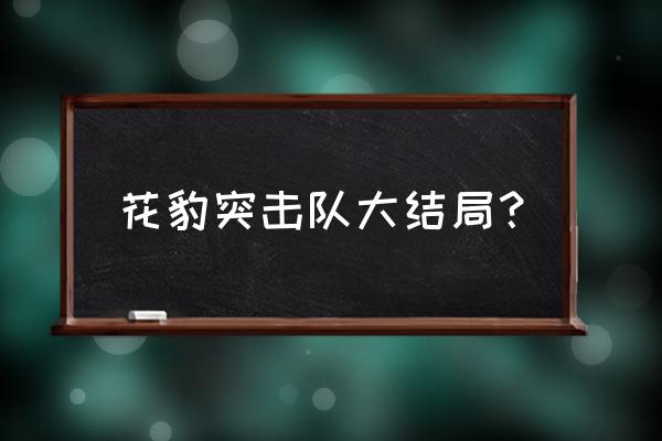 花豹突击队第二部 花豹突击队大结局？