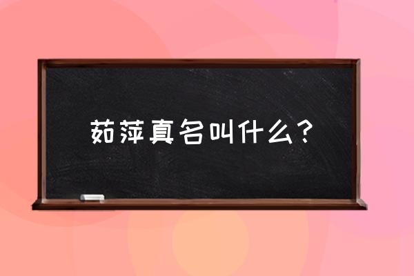 2020演员茹萍 茹萍真名叫什么？