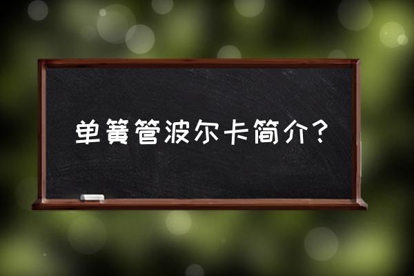 单簧管波尔卡简介 单簧管波尔卡简介？