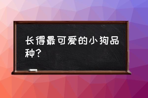 可爱的小狗类型 长得最可爱的小狗品种？