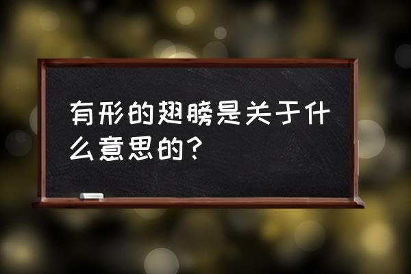 有形的翅膀表达什么 有形的翅膀是关于什么意思的？