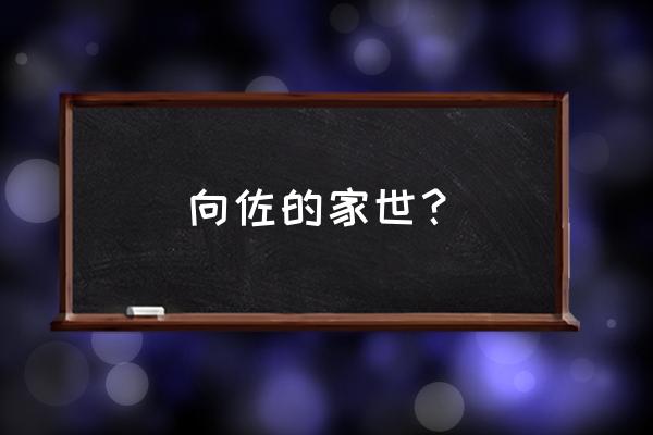 向佐的家世有多厉害 向佐的家世？