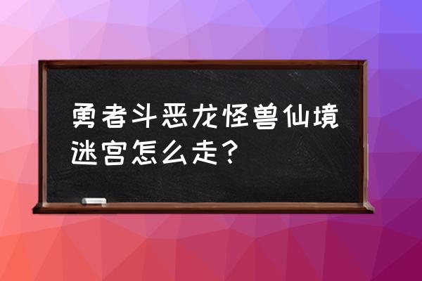 勇者斗恶龙怪兽仙境1 2 勇者斗恶龙怪兽仙境迷宫怎么走？