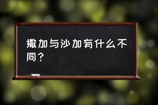 圣斗士沙加和撒加 撒加与沙加有什么不同？