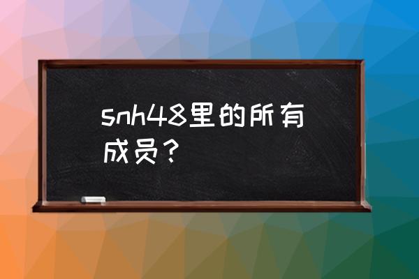 snh48一共多少名成员 snh48里的所有成员？