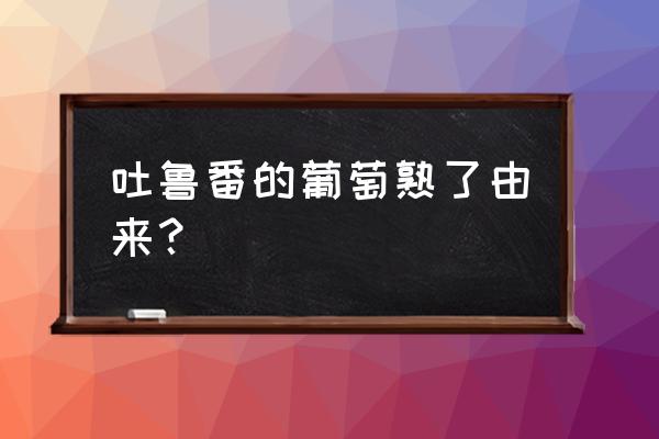 吐鲁番的葡萄熟了简介 吐鲁番的葡萄熟了由来？