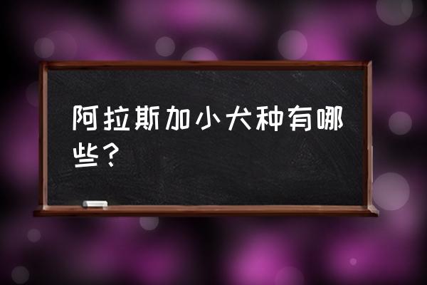 阿拉斯加狗狗名字 阿拉斯加小犬种有哪些？