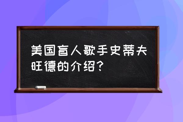 史蒂夫旺德 美国盲人歌手史蒂夫旺德的介绍？