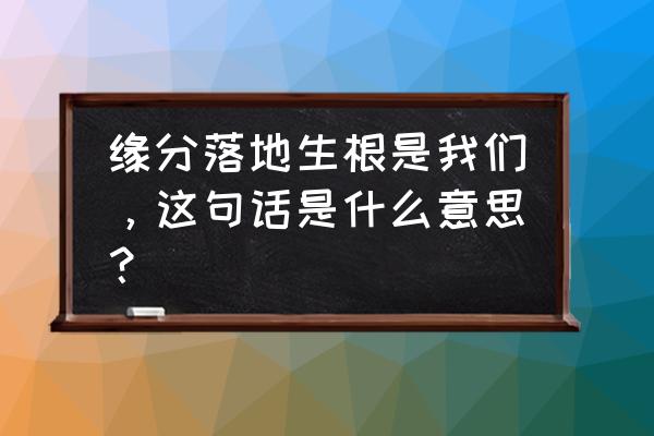 缘分落地生根是什么意思 缘分落地生根是我们，这句话是什么意思？