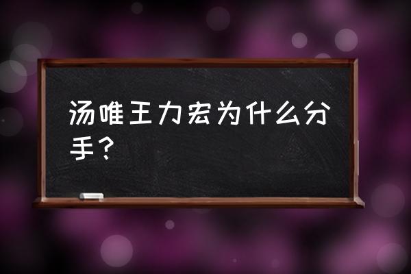 王力宏汤唯分手原因 汤唯王力宏为什么分手？