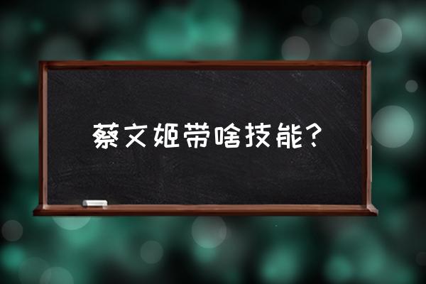 蔡文姬技能带什么 蔡文姬带啥技能？