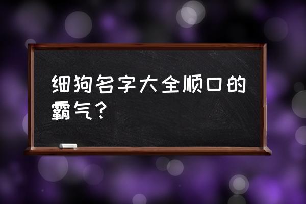 给小狗起名字大全 细狗名字大全顺口的霸气？